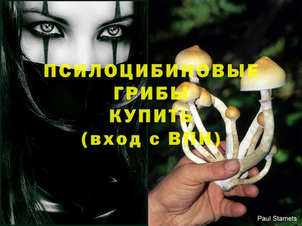 герыч Алзамай