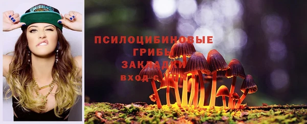герыч Алзамай