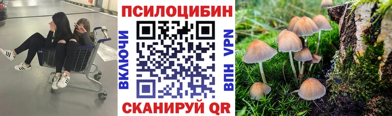 Галлюциногенные грибы GOLDEN TEACHER  Ивангород 